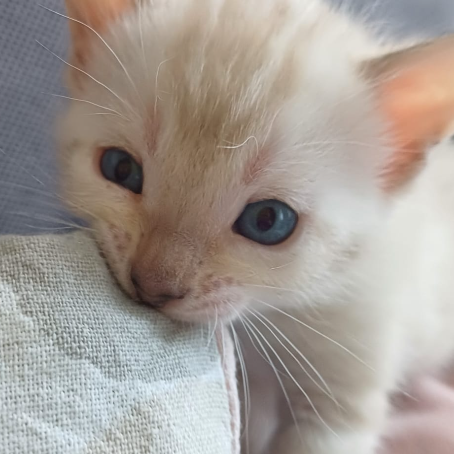 Profilbild von Moderator 2