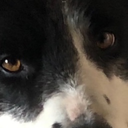 Profilbild von Moderator 2