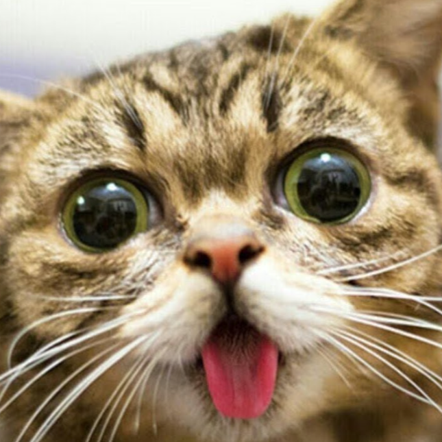 Profilbild von Bayern014