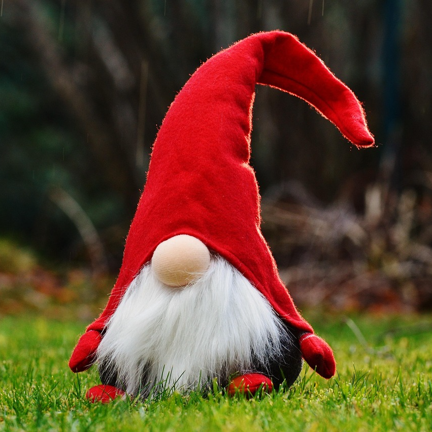 Profilbild von Wichtel