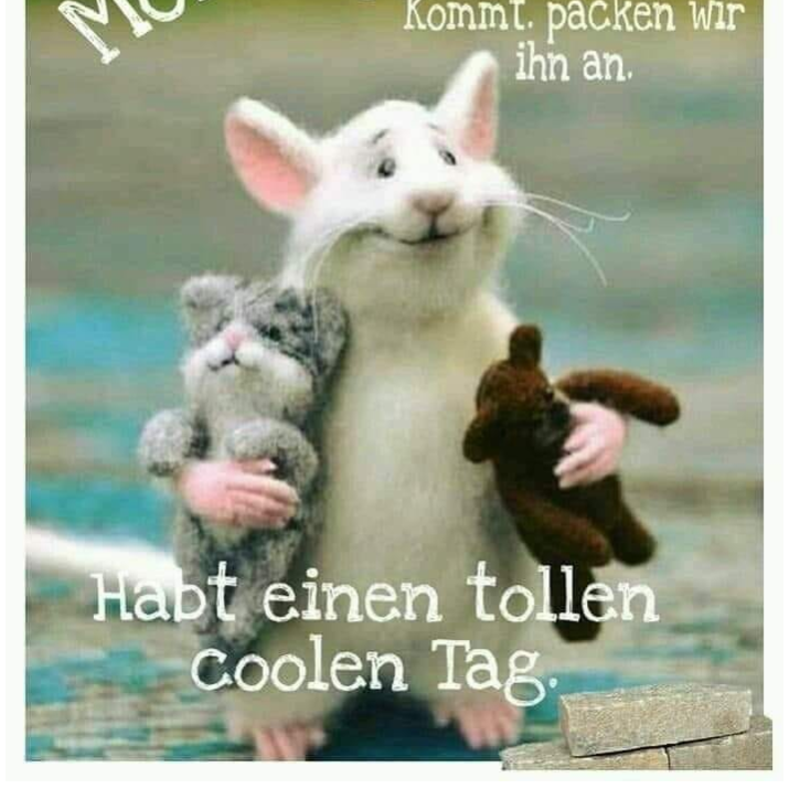 Profilbild von Moderator 2